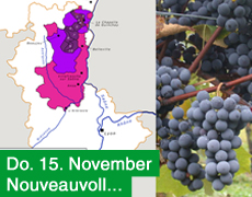 15. November: Beaujolais Primeur frisch im Depot!